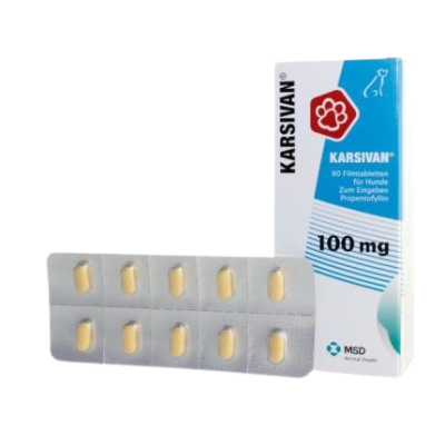 Karsivan 100mg Tableta 10 comp.